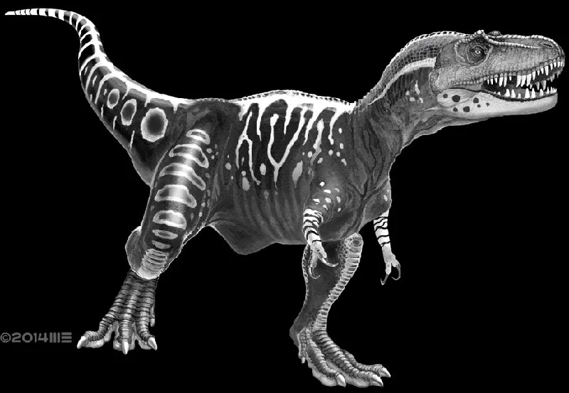 New Markdowns Adult Albertosaurus in Black & White T-Shirt