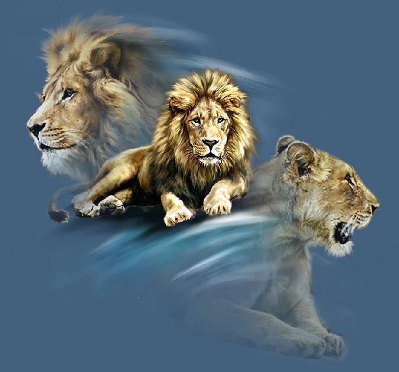 Closeout Adult Lions Pride T-Shirt