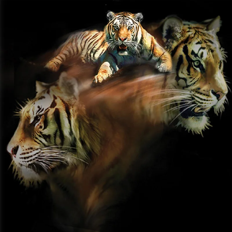 Daily Deals Adult Tiger Portrait T-Shirt