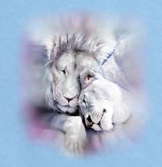 Deal Explosion Adult White Lion Pair T-Shirt